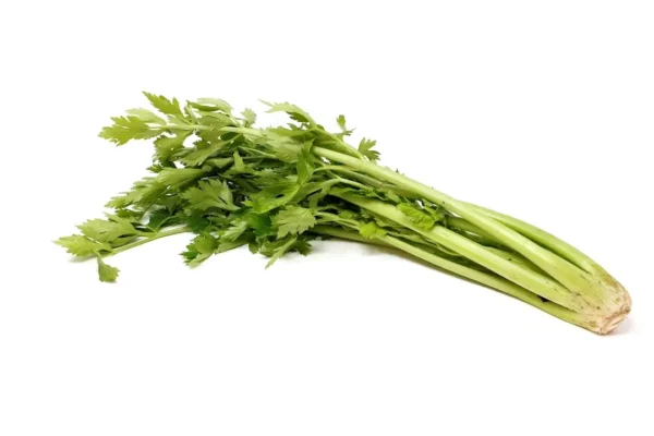 Apio  - 500 g. aprox.