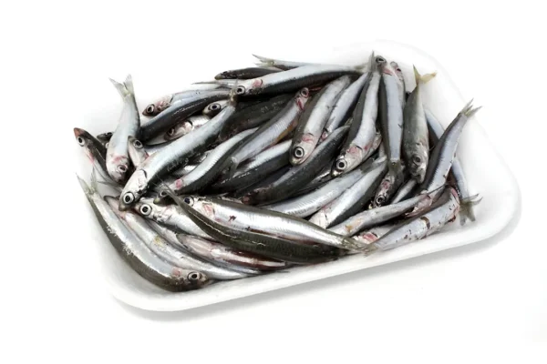 Boquerón pequeño - 500 g. aprox.