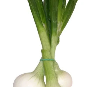 Cebolletas manojo - 500 g. aprox.