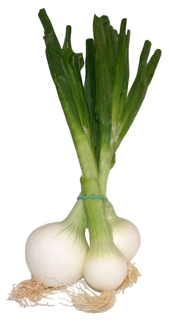 Cebolletas manojo - 500 g. aprox.