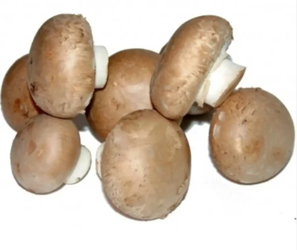 Champiñón Portobello - 500 g. aprox.