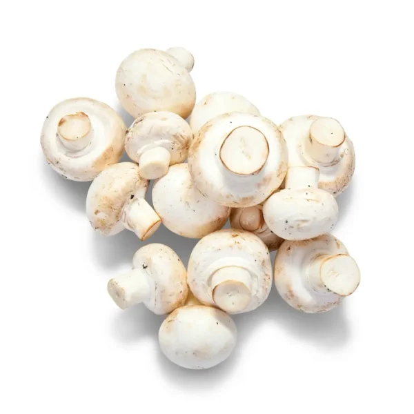 Champiñón limpio - 500 g. aprox.