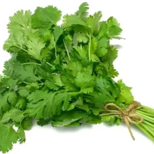 Cilantro - 100 g. aprox.