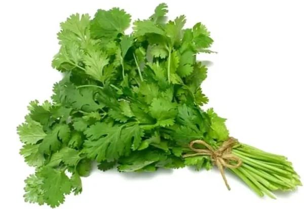 Cilantro - 100 g. aprox.