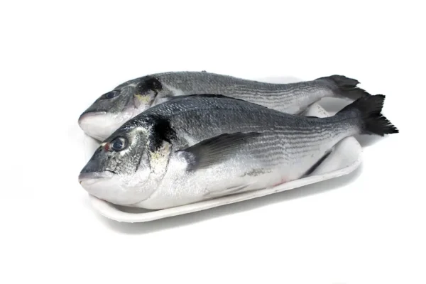 Dorada, pieza de 600 - 800 g. aprox.