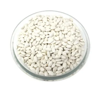 Judía plancheta de Ávila 500 g. aprox.