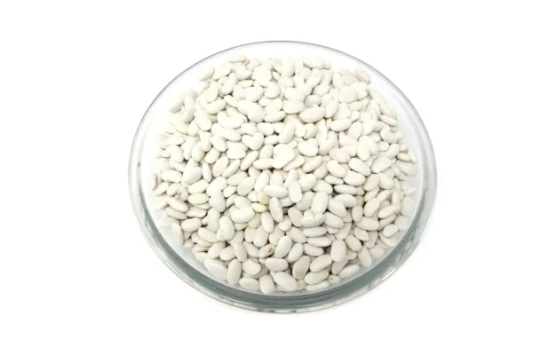 Judía plancheta de Ávila 500 g. aprox.