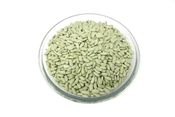 Judía verdina de Asturias 500 g. aprox