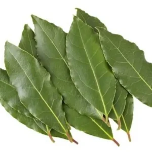 Laurel