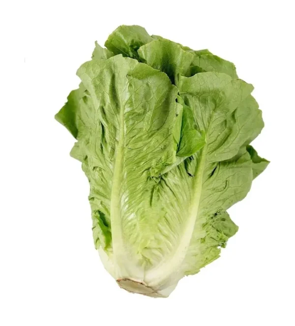 Lechuga romana - 1 unidad.