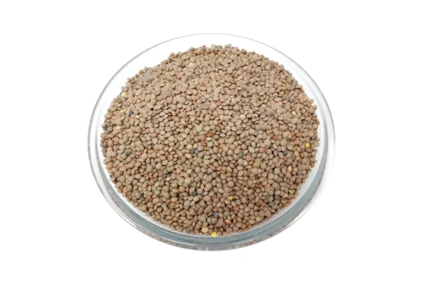 Lenteja pardina 500 g. aprox.