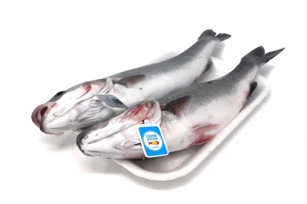 Lubina, pieza de 600-800 g aprox.