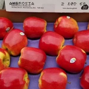 Manzana Ambrosía - 1 Kg. aprox.