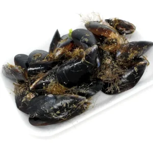 Mejillón, 500 gr. aprox.