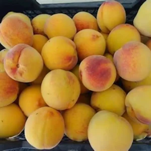 Melocotón - 1kg aprox