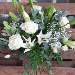 Modelo: ROSAS y LILIUM