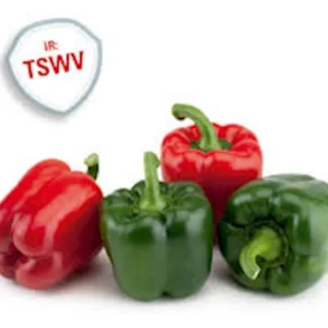 Pimiento lamuyo rojo - 1 kg. aprox.