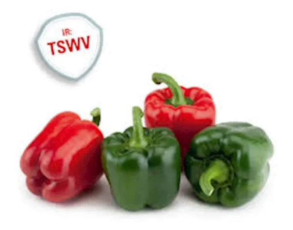 Pimiento lamuyo rojo - 1 kg. aprox.