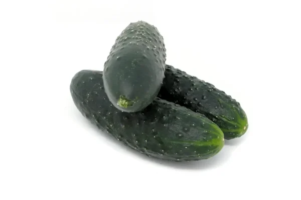 Pepinos - 1 kg. aprox.