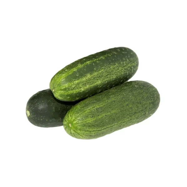 Pepinos - 1 Kg aprox.