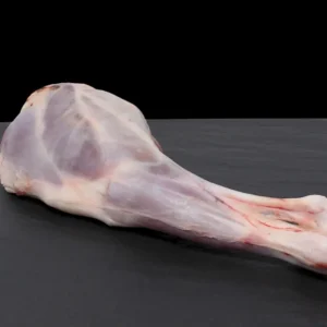 Pierna de cordero recental 1.5 kg aprox