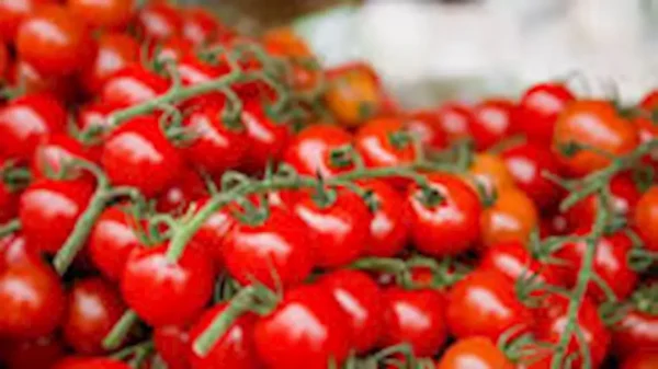 Tomate cherry  - 500 g aprox.