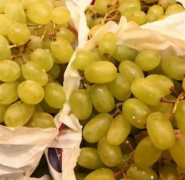 Uva sin pepitas - 1 kg. aprox.