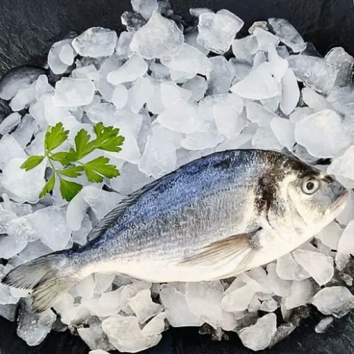 Dorada nacional 500 g. aprox la pieza