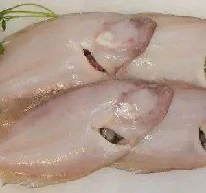 Gallo ración de Vigo 1kg aprox.