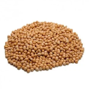 Garbanzo pedrosillano - 500 g aprox