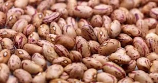 Judías pintas - 500 g aprox.