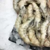 Langostino crudo congelado 500 g. aprox.