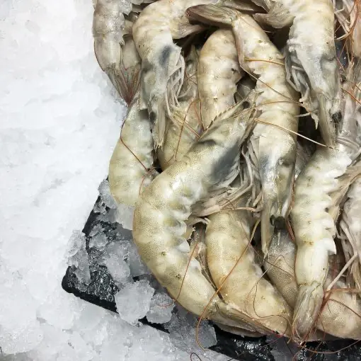 Langostino crudo congelado 500 g. aprox.