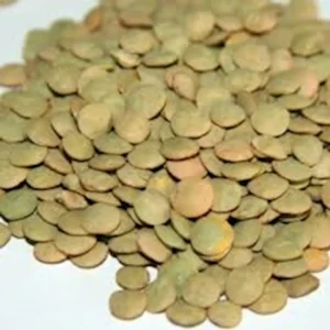 Lenteja castellana - 500 g. aprox.