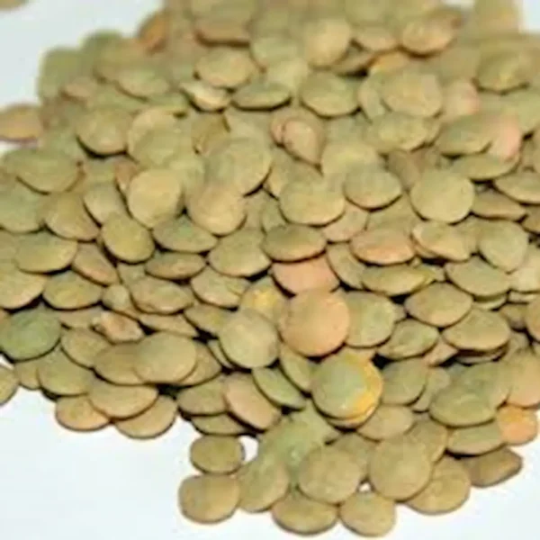 Lenteja castellana - 500 g. aprox.