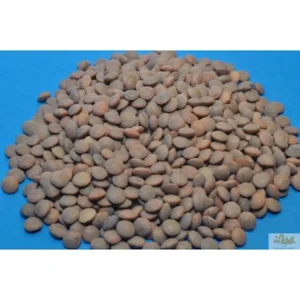 Lenteja pardina - 500 g. aprox.
