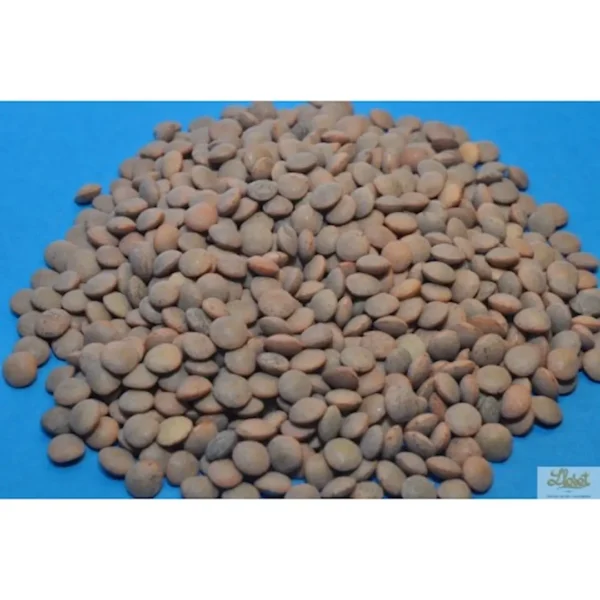 Lenteja pardina - 500 g. aprox.