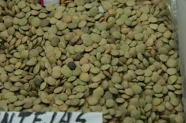 Lenteja verdina - 500 g. aprox.