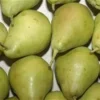 Peras de agua - 1 Kg. aprox.