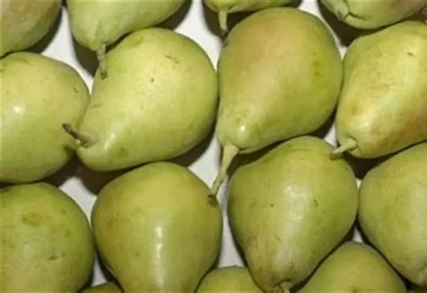 Peras de agua - 1 Kg. aprox.
