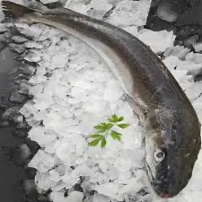 Merluza 500 g. aprox.