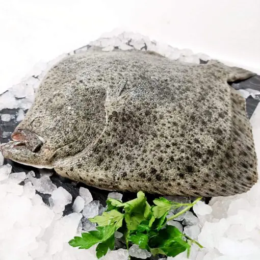 Rodaballo pieza - POR ENCARGO -1kg aprox