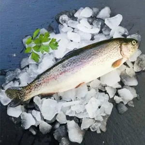 Trucha 500g. aprox. la pieza